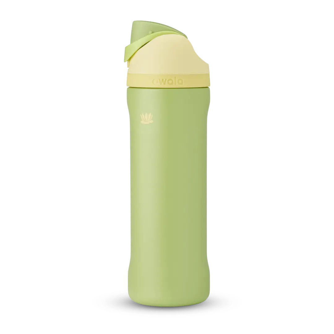 Disney Princess Collection owaloo